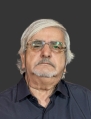 سید مهدی محمودی