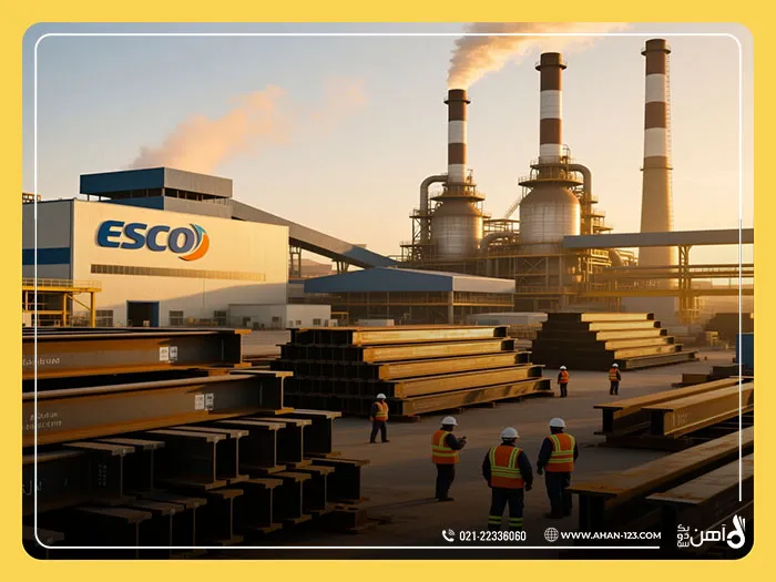 Iran's steel industry