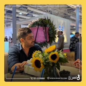 مجید محمودی